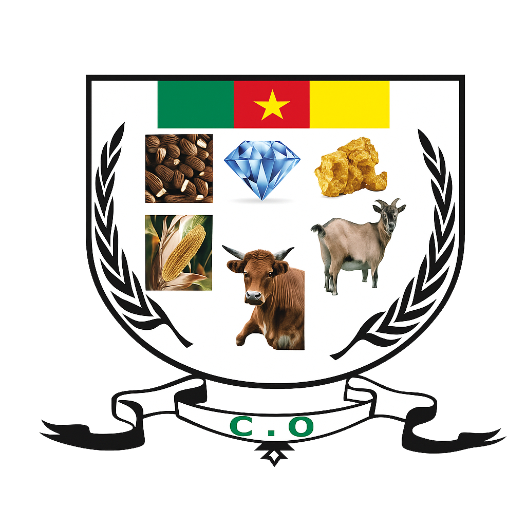 Commune de Ouli